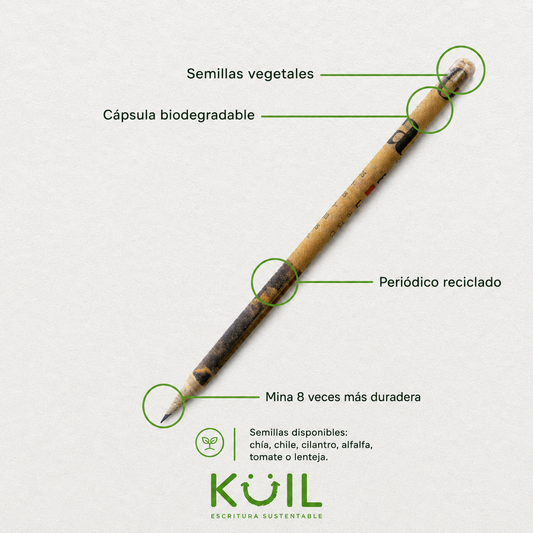 5. Caja Lonchera de 24 cajitas de lápices ecológicos con SEMILLA
