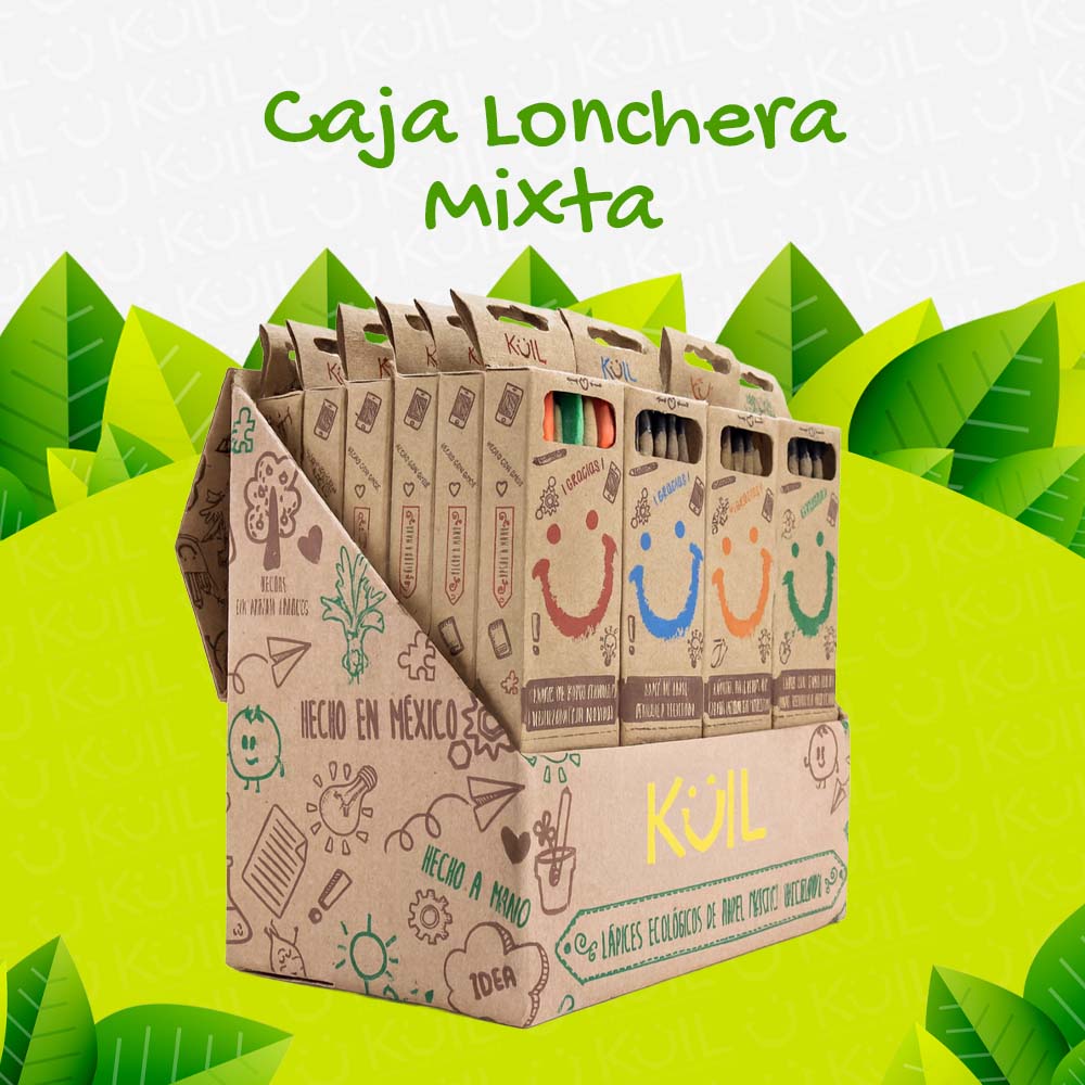 9. Caja Lonchera de 24 cajitas mixtas