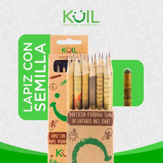 1. Cajita de 12 lápices ecológicos con SEMILLA
