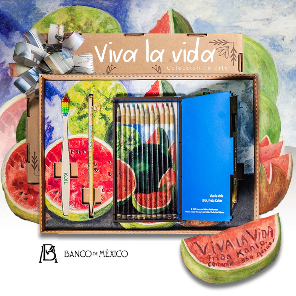Colección de 12 colores ecológicos, acuarelables, edición Viva la Vida