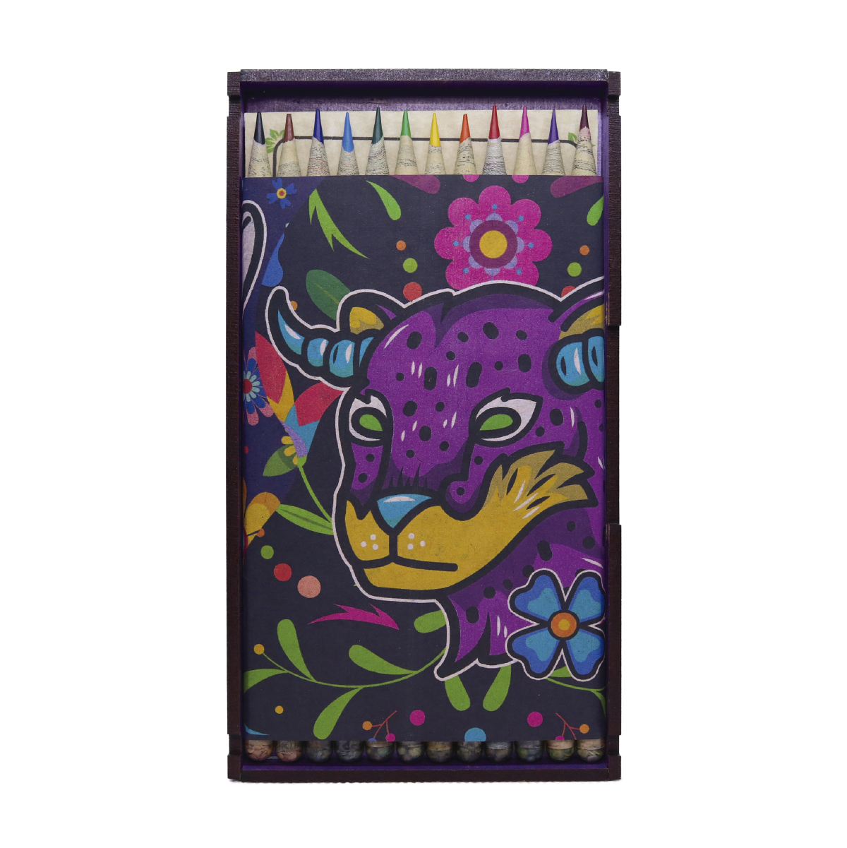 Colección de 12 colores ecológicos, acuarelable, edición Alebrijes