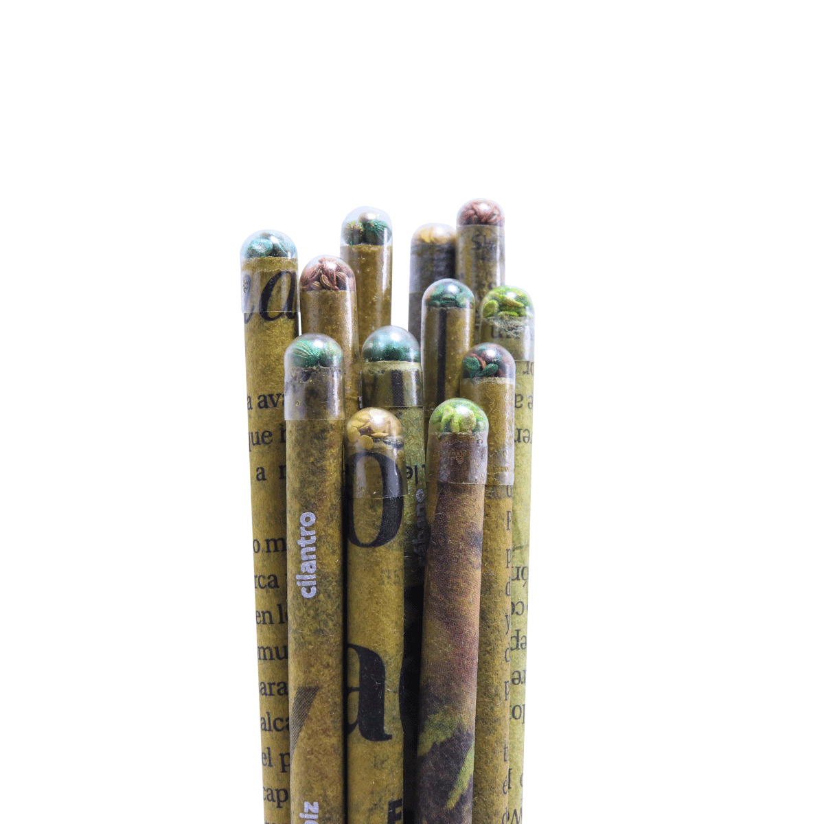 1. Cajita de 12 lápices ecológicos con SEMILLA