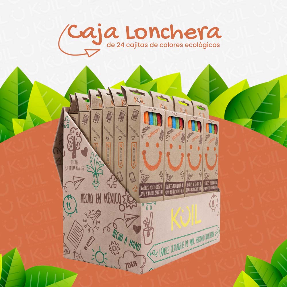 6. Caja Lonchera con 24 cajitas de COLORES ecológicos