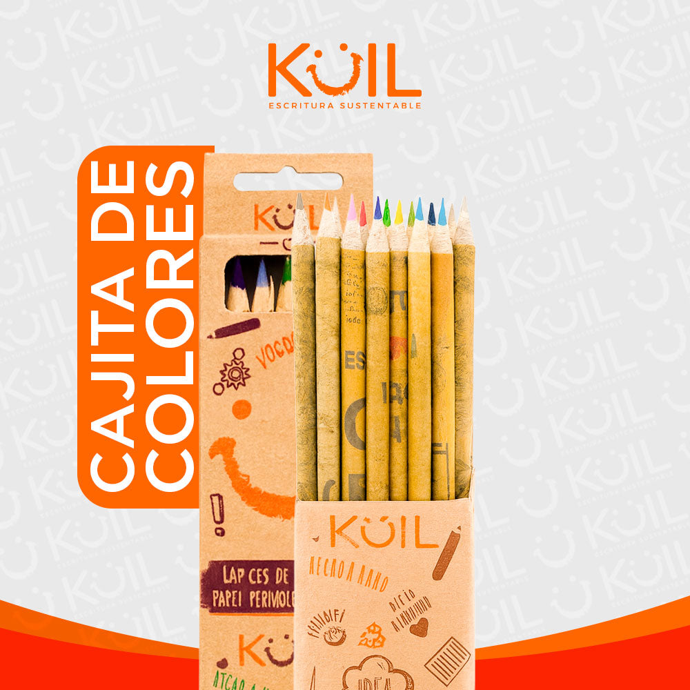2. Cajita de 12 COLORES de periódico reciclado