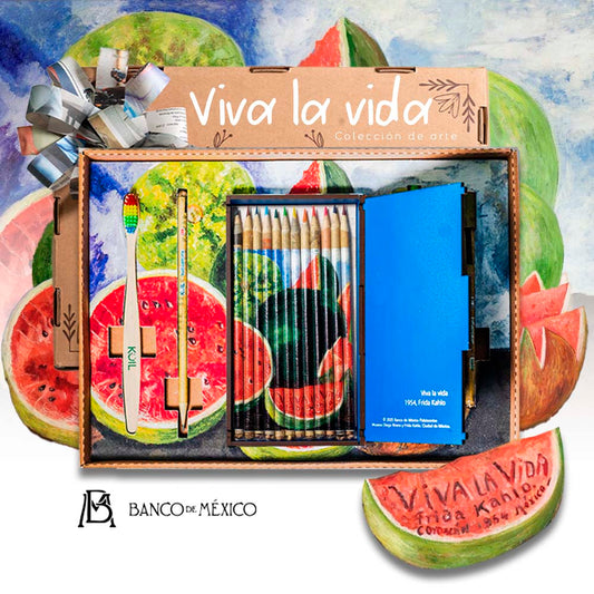 Colección de 12 colores ecológicos, acuarelables, edición Viva la Vida